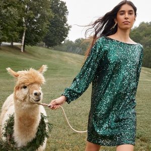 Reitmans Long-Sleeve Sequin Shift Dress